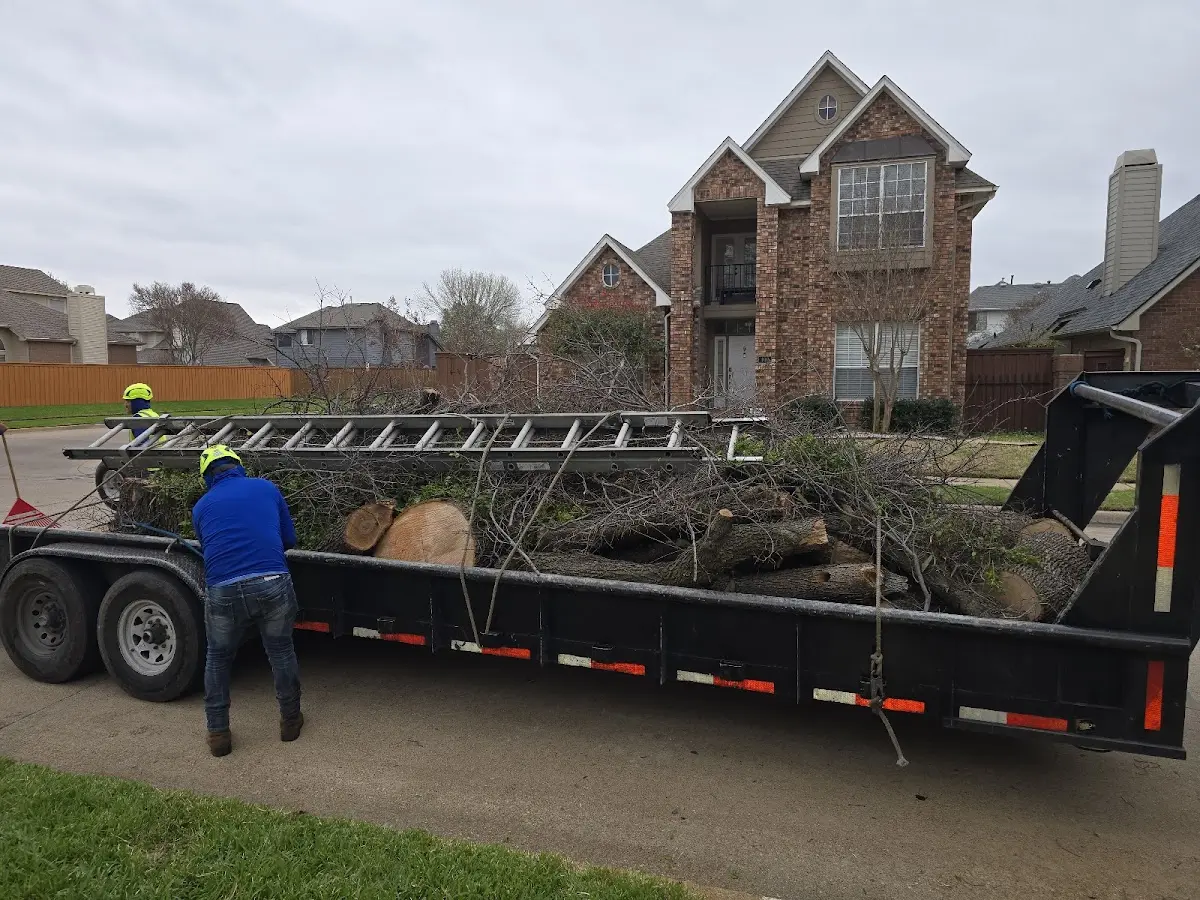 Expert Lot Clearing with proper safety equipment in Byron